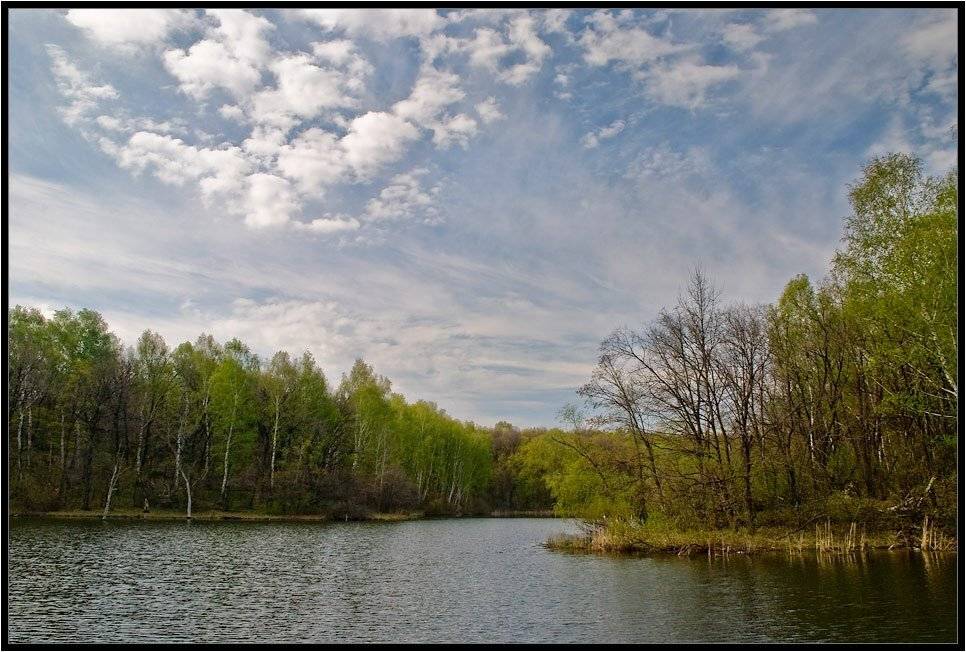 , Дмитрий Милосердов