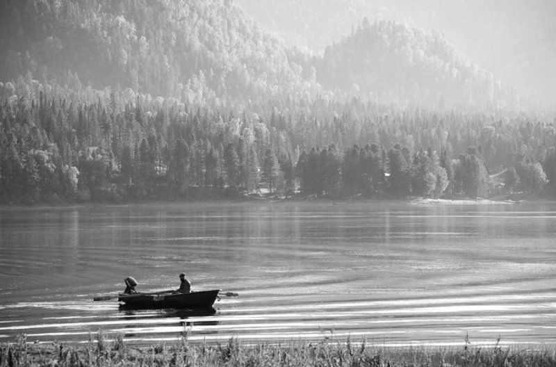 алтай, телецкое, озеро Телецкое озеро фото превью