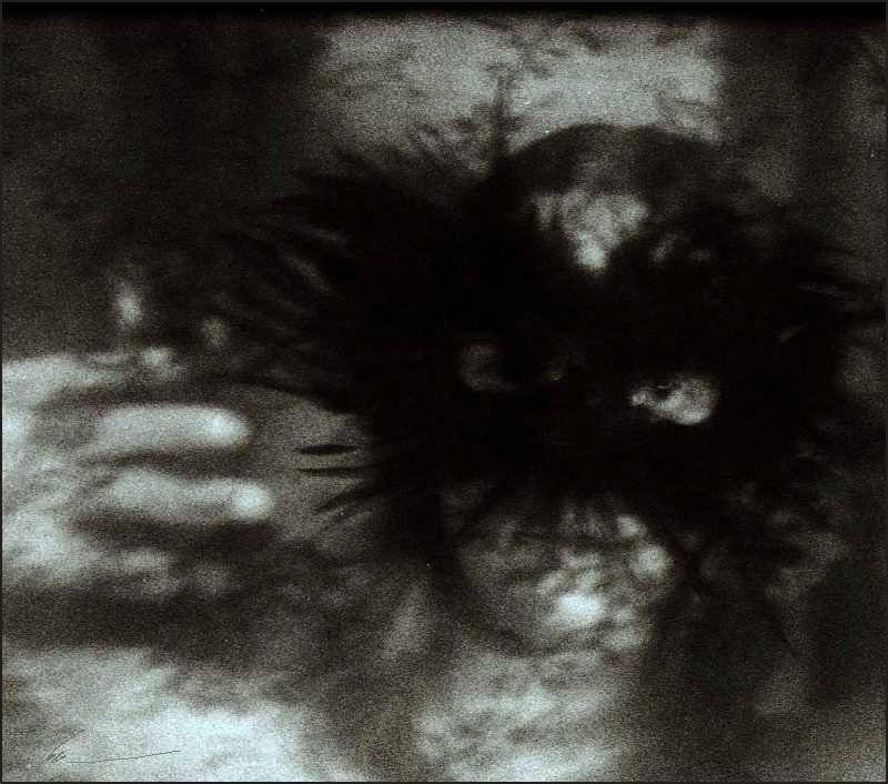 другие_инфанты, Deep in Violet