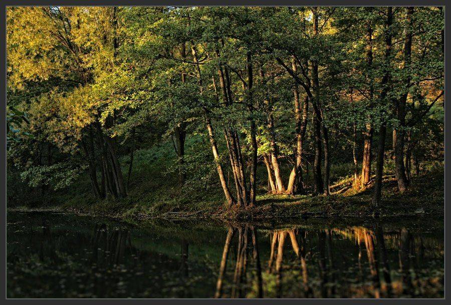 пруд, пирогово, Sound Wave