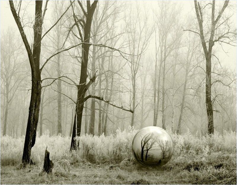 приснилось фото превью