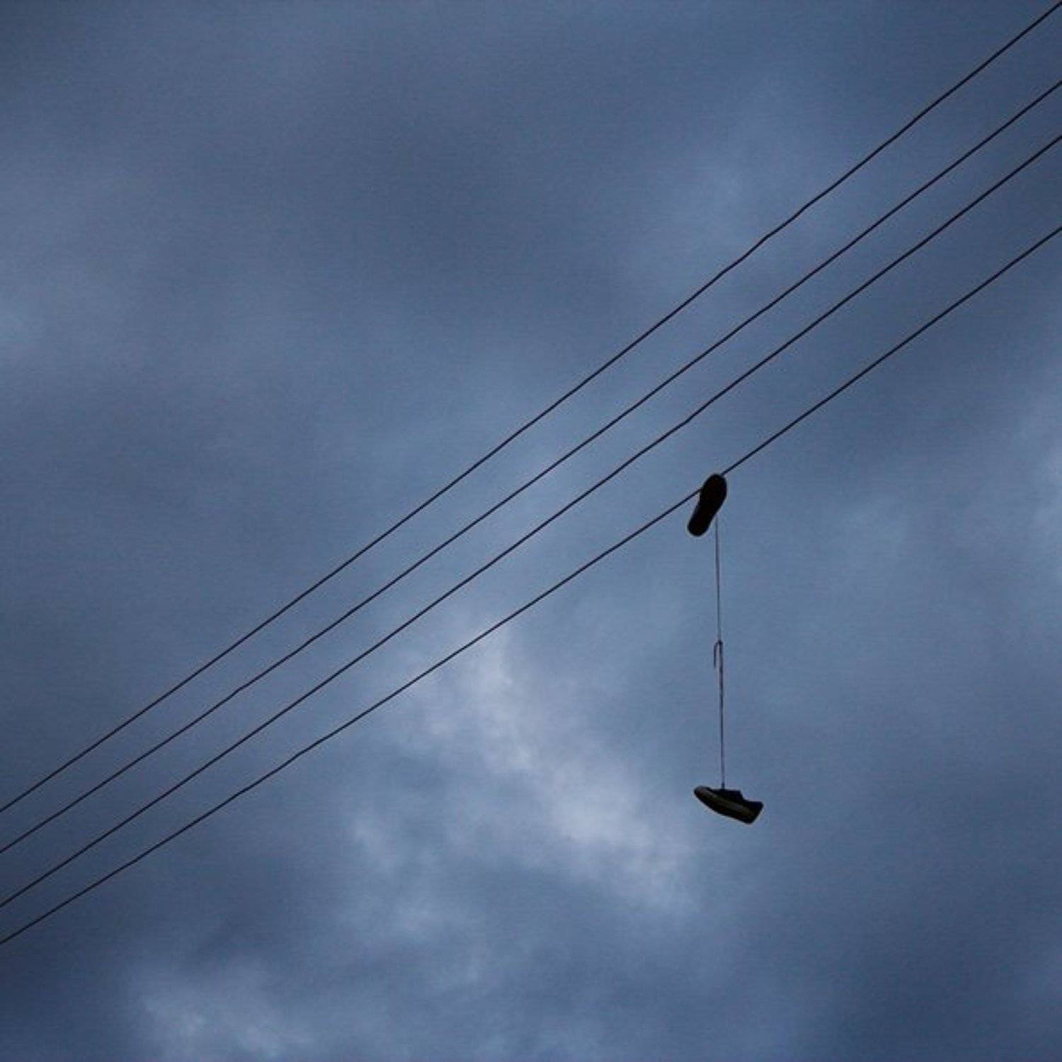 , АлексеевПавЮр_schtadler