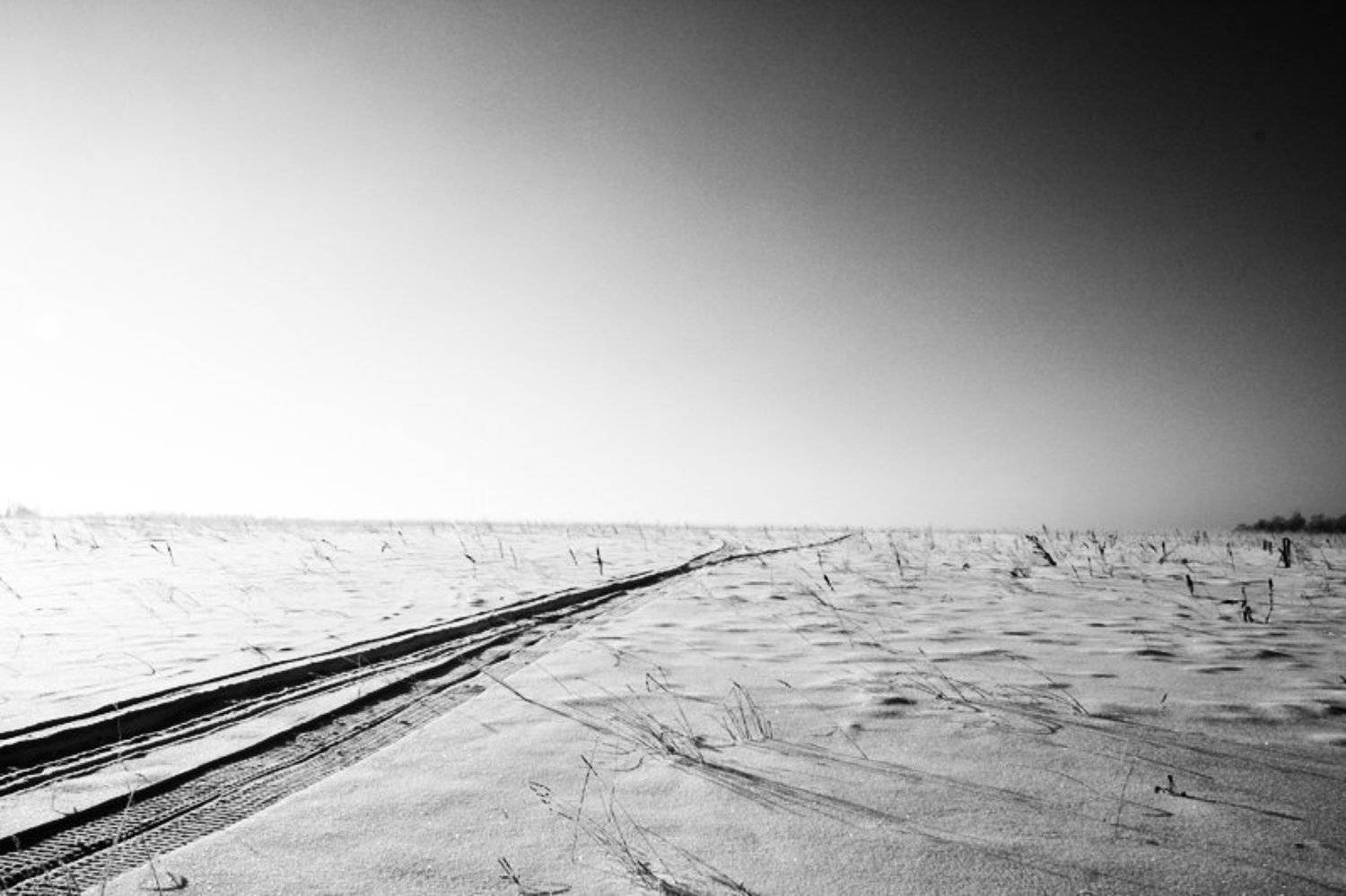 снег, утро, чб, Roman RunoV