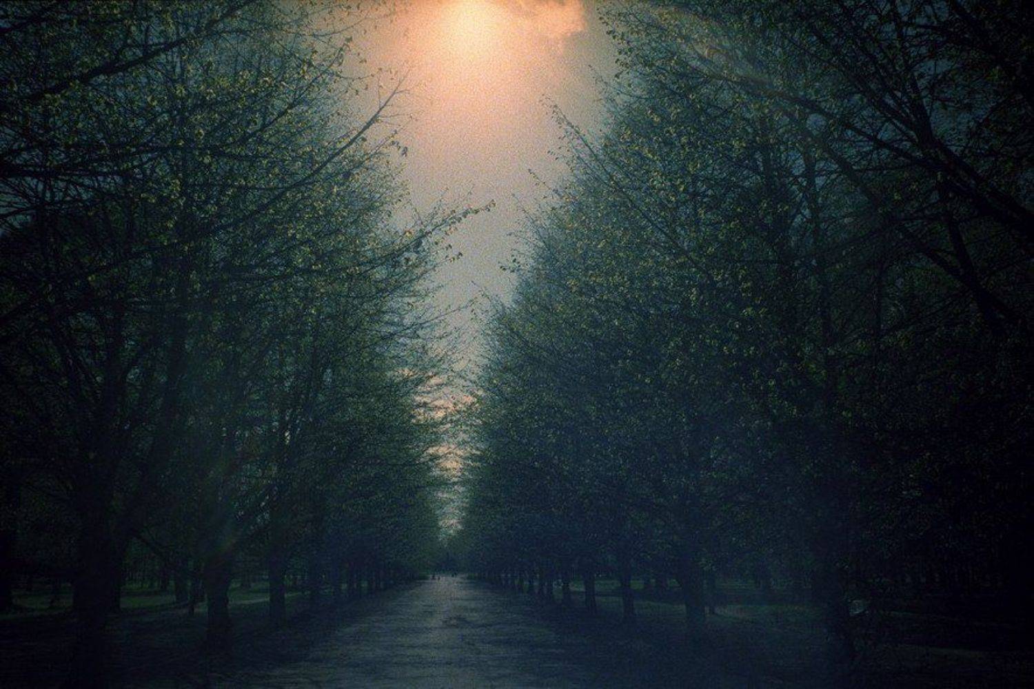 , Денис Хоменков