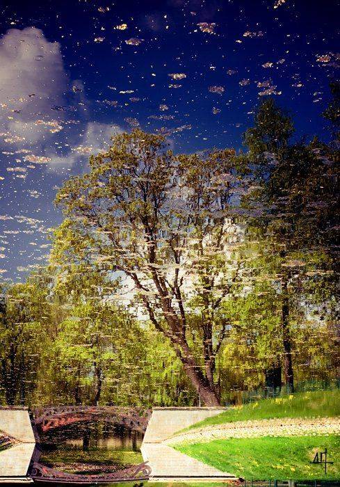 , Дмитрий Плотникофф