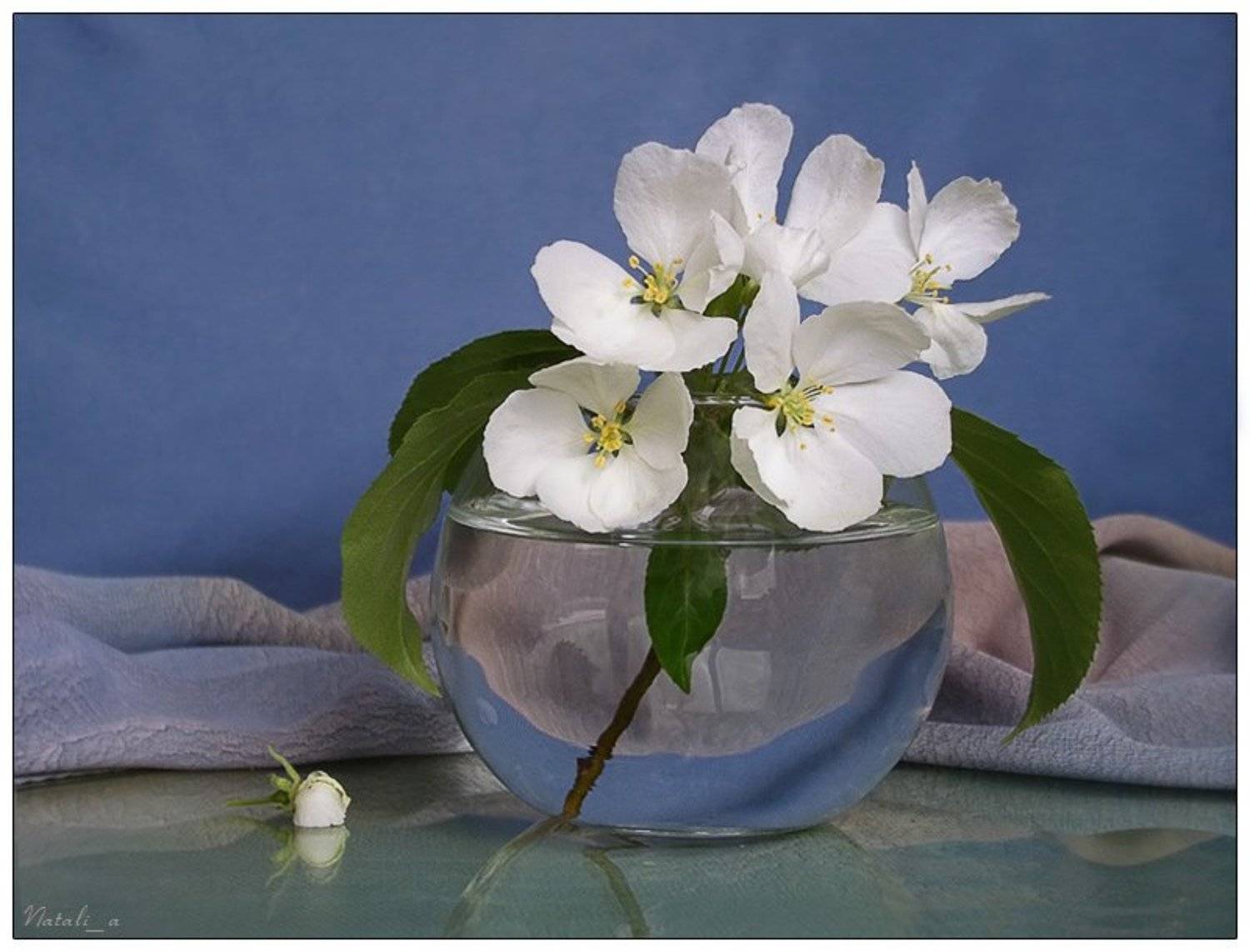 весна, цветы, Natali_a