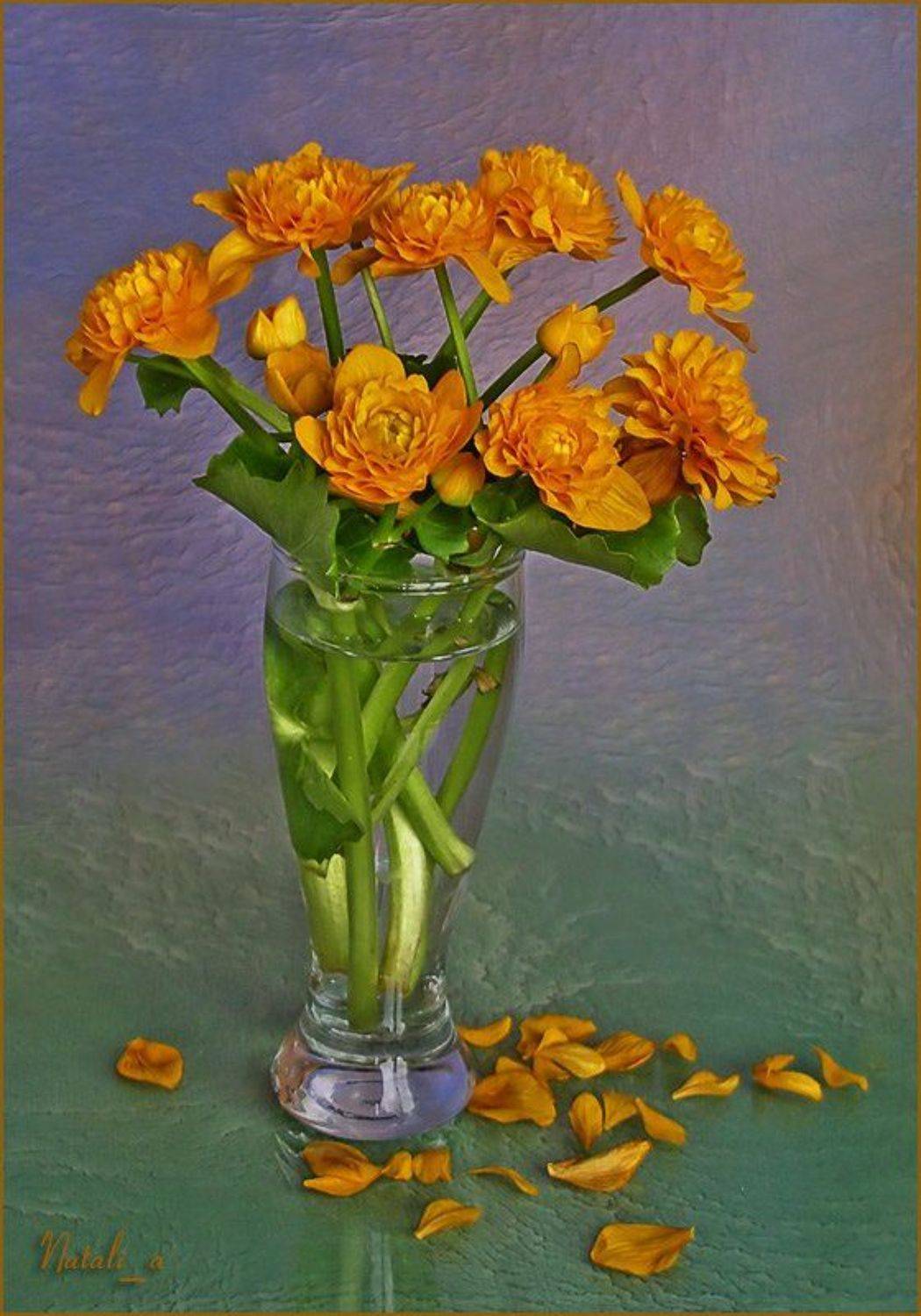 весна, цветы, Natali_a