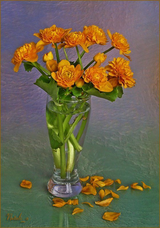 весна, цветы  фото превью