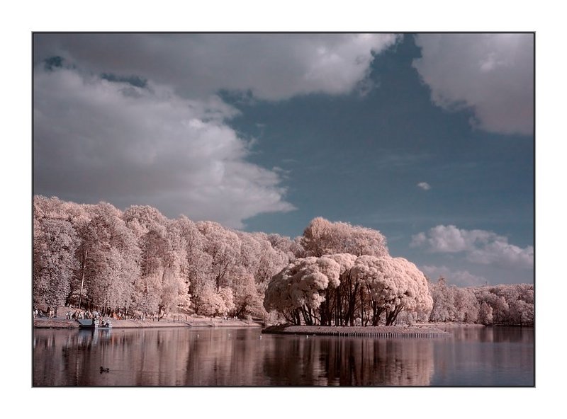 царицыно, москва, парк, вода, много народу }}{{ фото превью