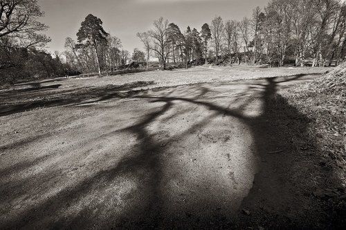 Тени Монрепо