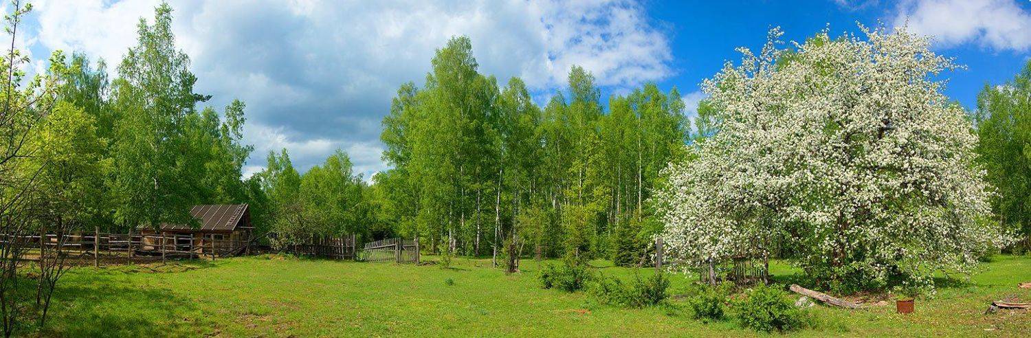 рязань, рязанская область, тюково, Leonid Shtishevskiy