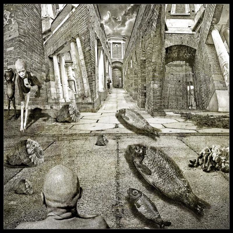 Шествие рыб. фото превью