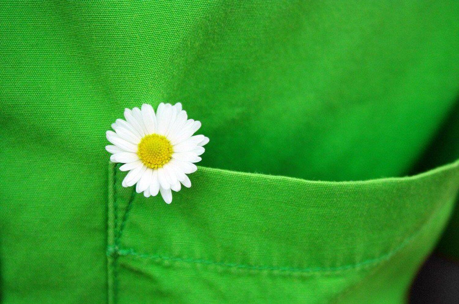 , Александр Соболев