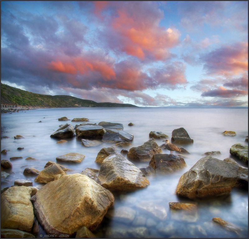 крым, закат, море, чайка, пейхаж Fairy фото превью