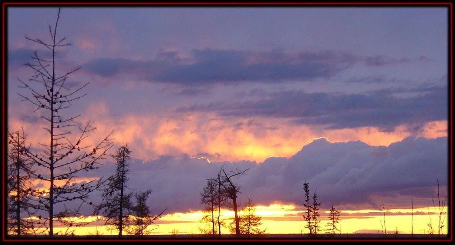 тайга,закат, Солодухин Виктор