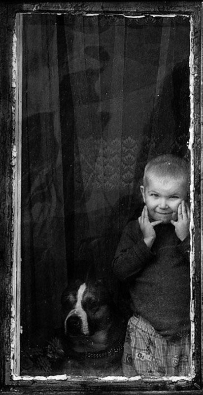 mendor  фото превью