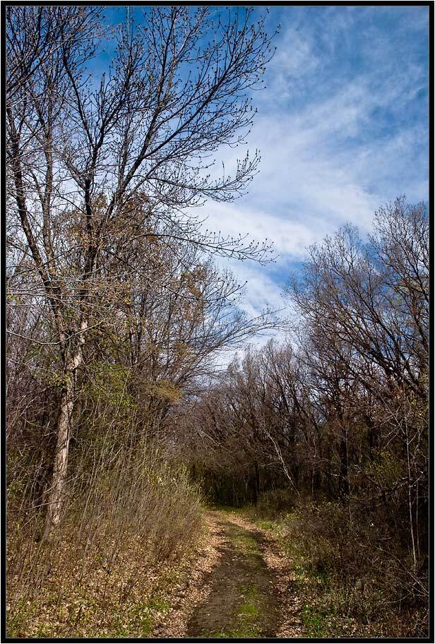 , Дмитрий Милосердов