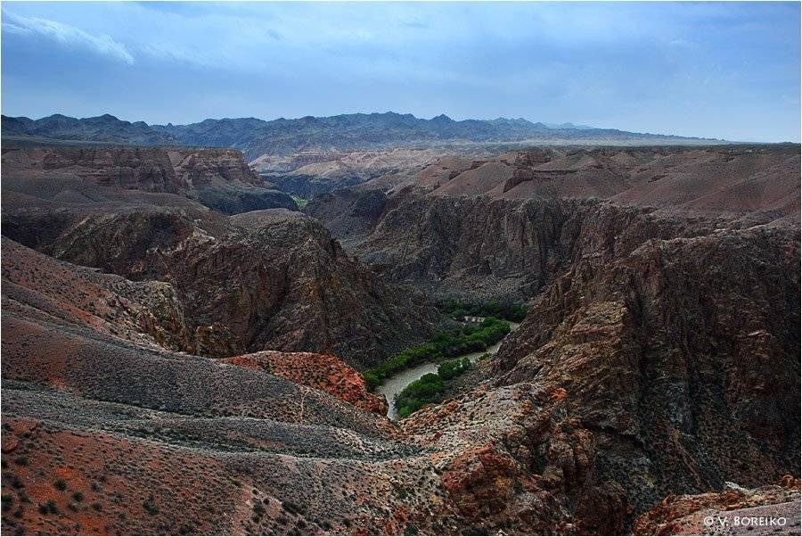 чарын, Вадько
