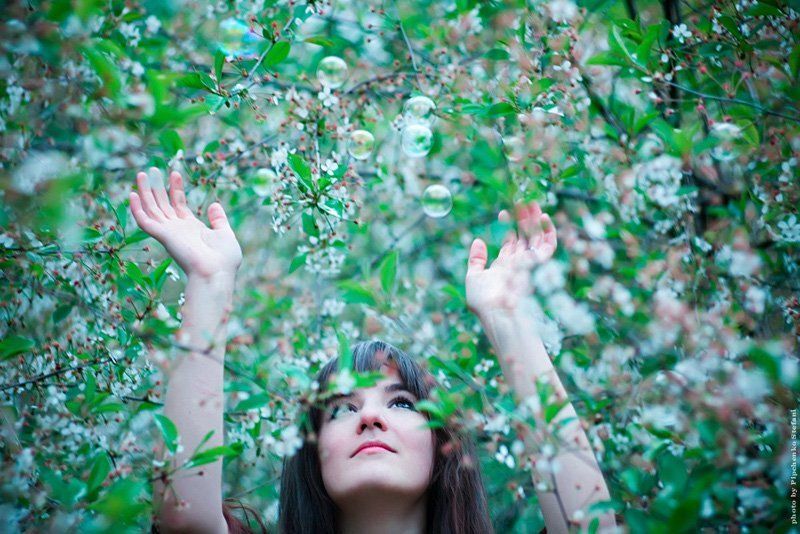 * * *  фото превью