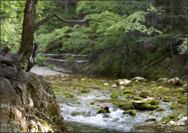 крым, большой каньон, пейзаж, река * * * фото превью