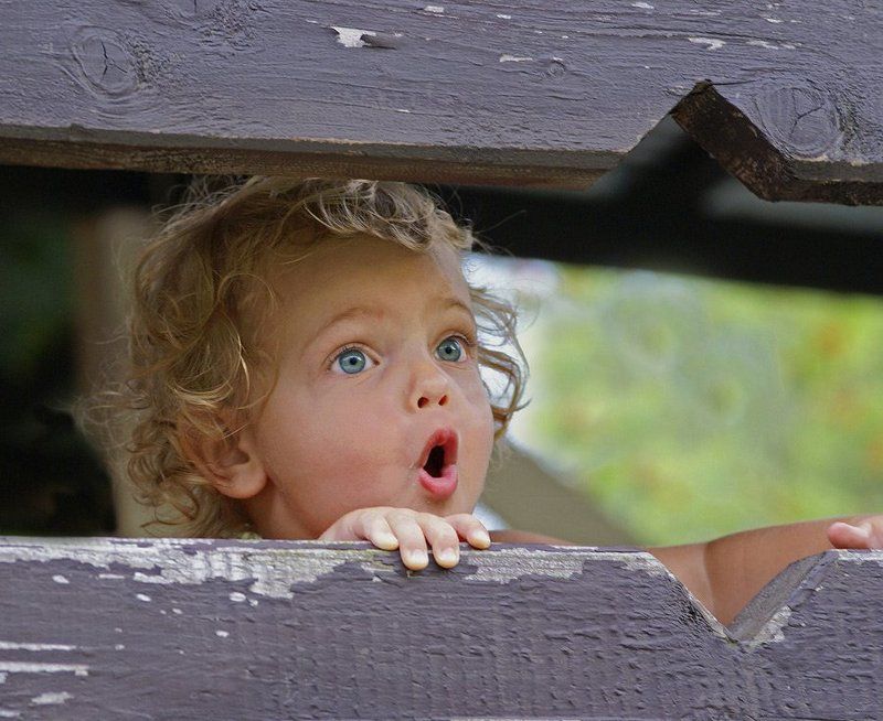 Как прекрасен этот мир !!! фото превью