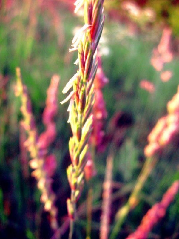 it won\'t be soon before long фото превью