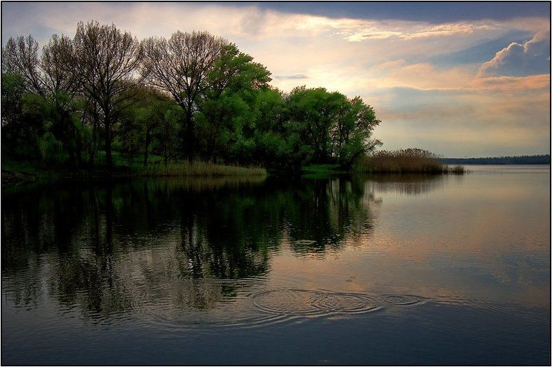 тихий вечер, малёк играет, слабый ветерок  фото превью