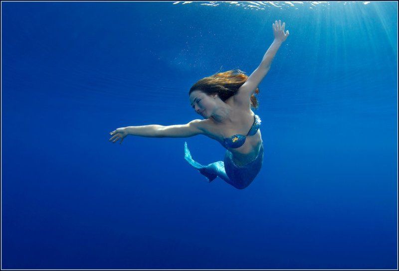 Купаясь в солнечных лучах фото превью