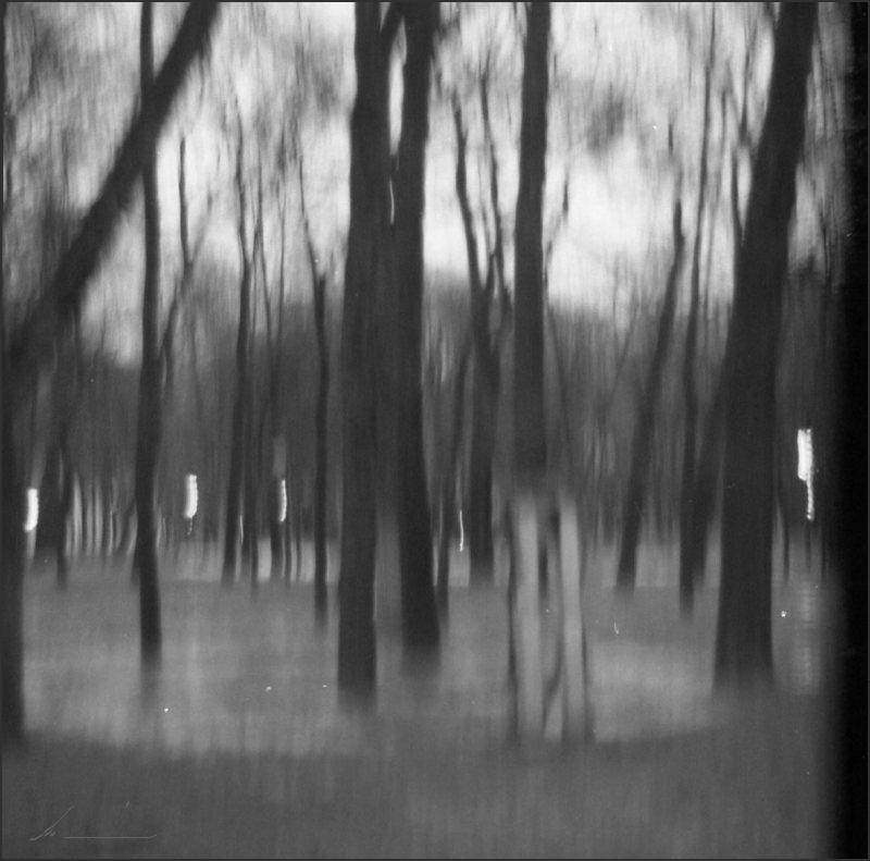 летний, сад, Deep in Violet