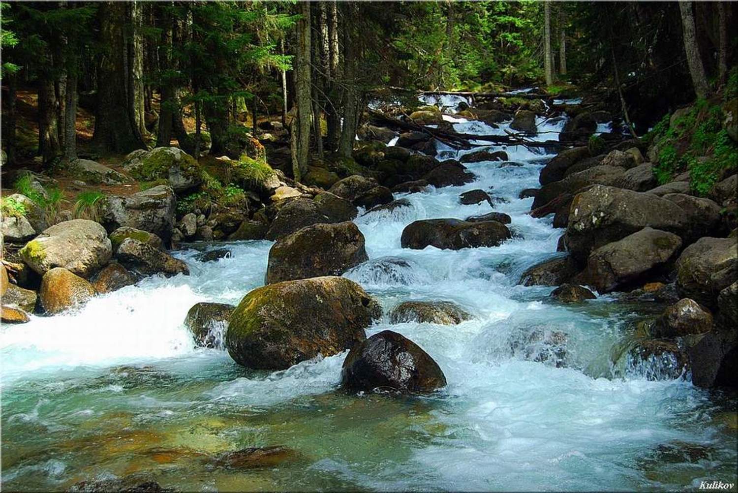 , Куликов Александр