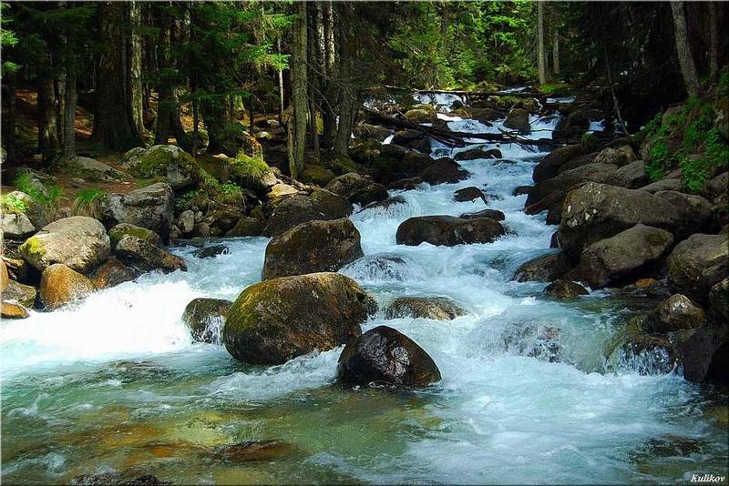 Поток фото превью