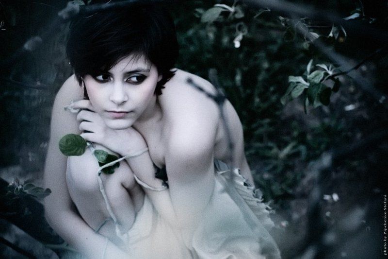 Froid.. фото превью