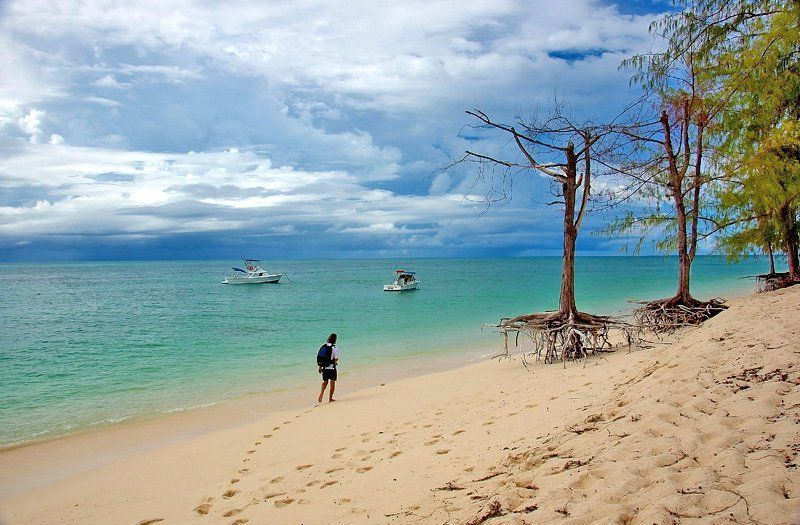 seychelles И на песке растут деревья..... фото превью