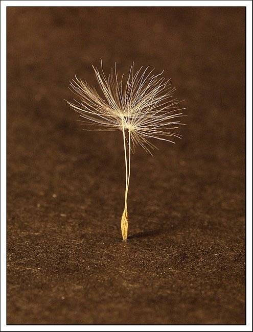 , Олег Клочков