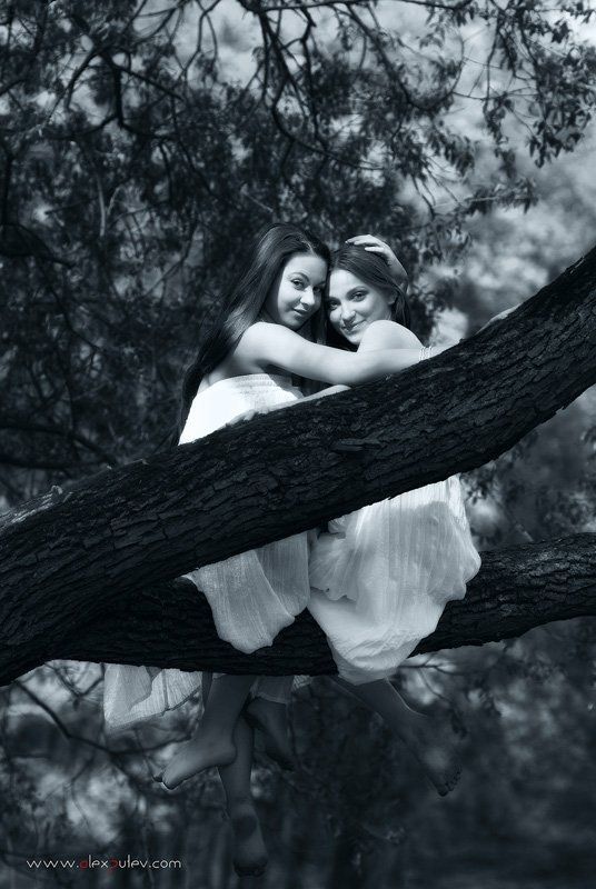 сирены,девушки,красавицы,обольщение,природа Сирены фото превью