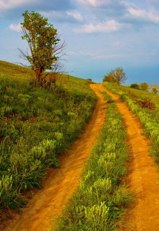 Донецкие степи фото превью