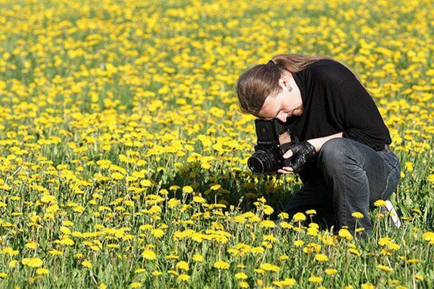 одуванчики коломенское, Эвелина Гигуль