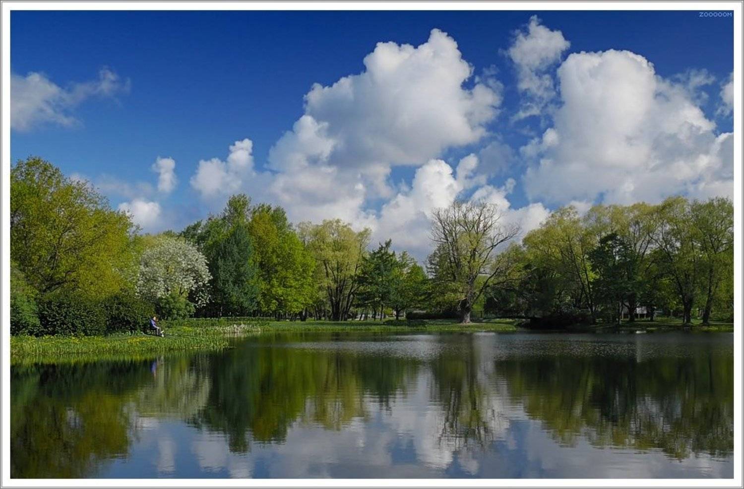 петербург,парк,рыбак, Алексей (zooooom)