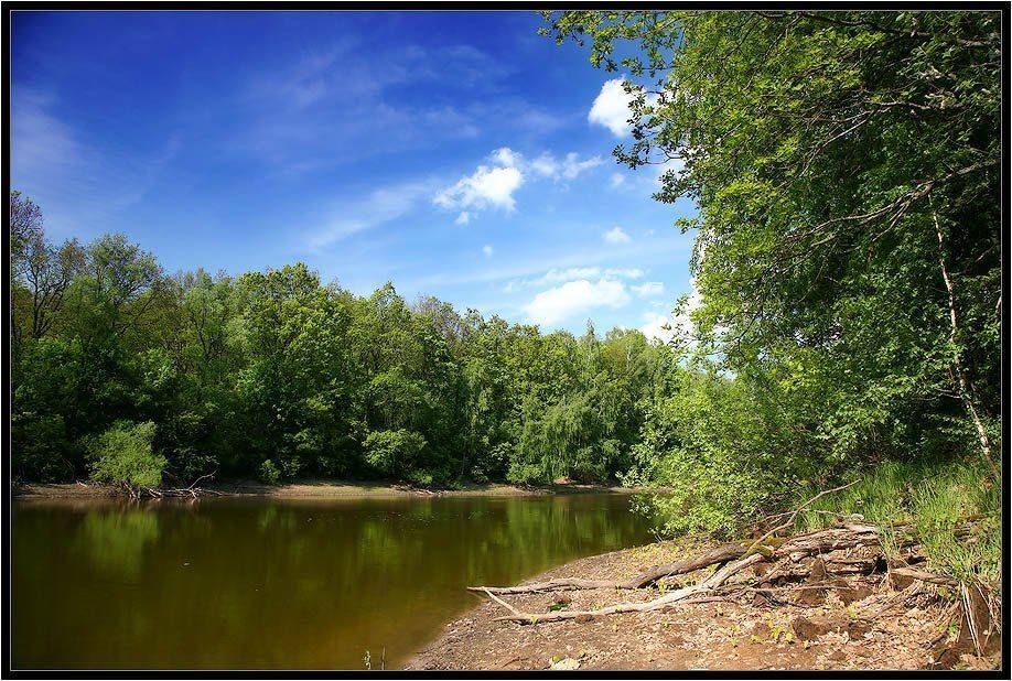 пейзаж, лето, пруд, Алексей Строганов
