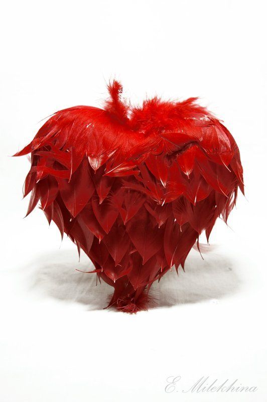 heart фото превью