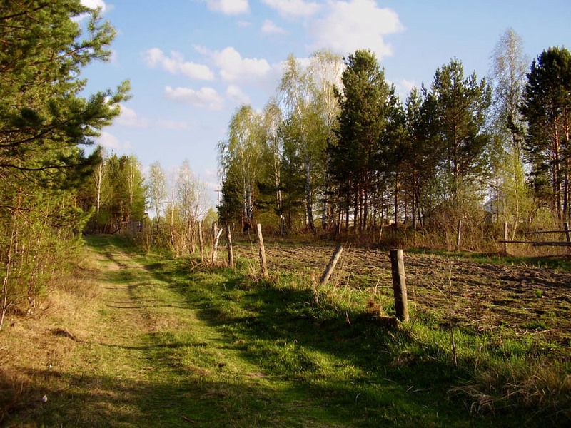 весна, вечер, тропинка, забор, лес Теплый весенний вечер фото превью