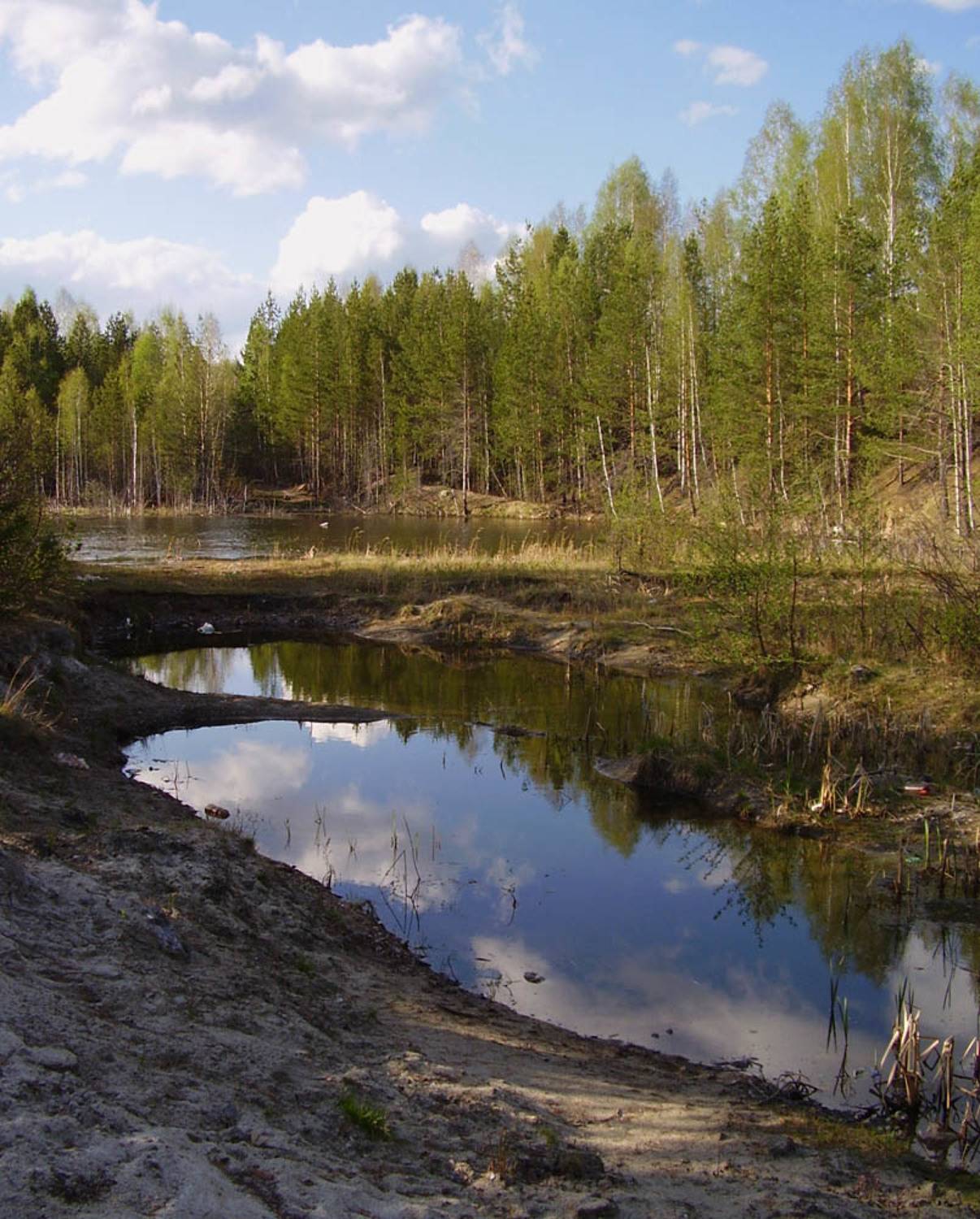 весна, лес, вода, отражение, Наталья Герасименко