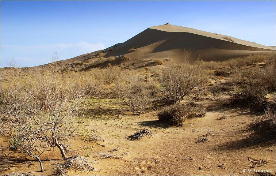 поющий, бархан, Вадько