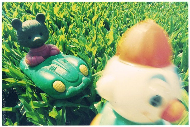 clown bear car stepans // фото превью