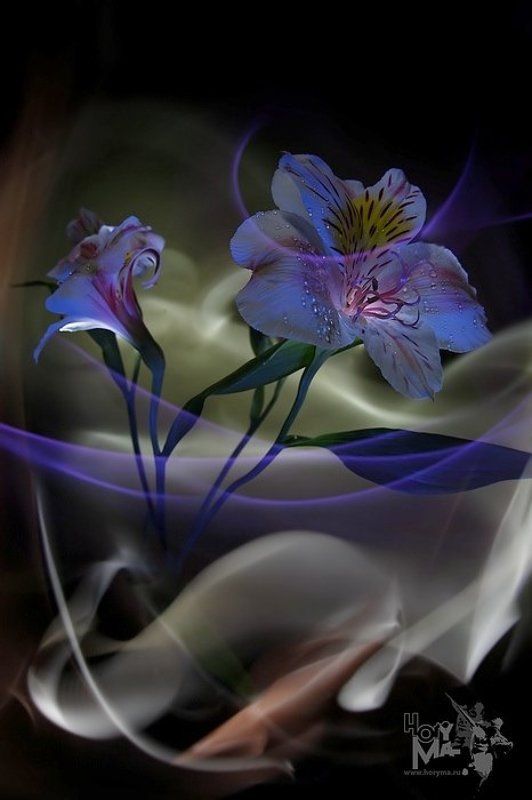 0501 (Светографика - Эскизы) фото превью