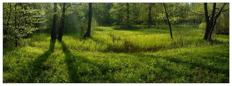 утро, солнце, весна, тишина, нет людей мягкое утро фото превью