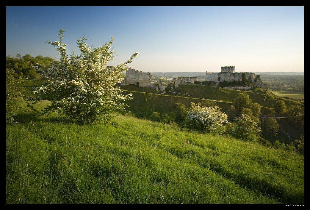 нормандия, seleznev