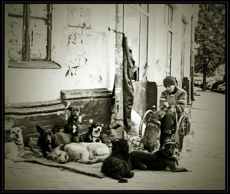 * * * фото превью