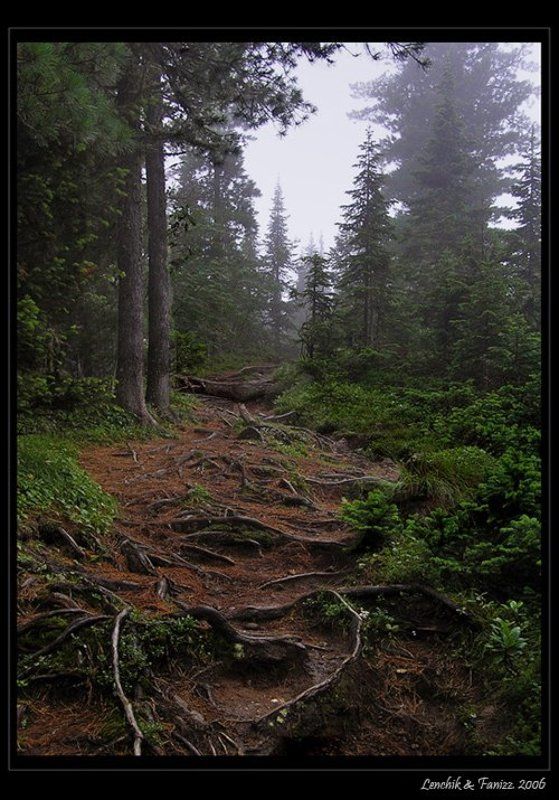 там, на неведомых дорожках ... фото превью