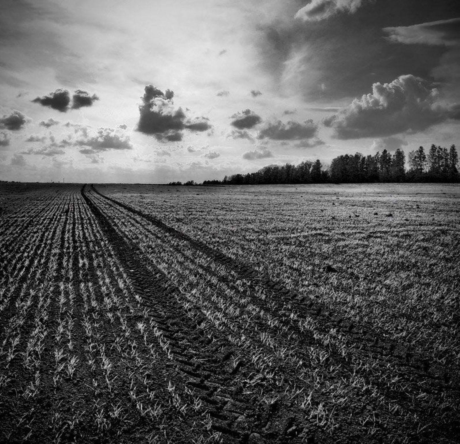 чб, Сергей Прокошин